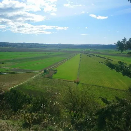 Entre Terre Et Avec Piscine * Montady