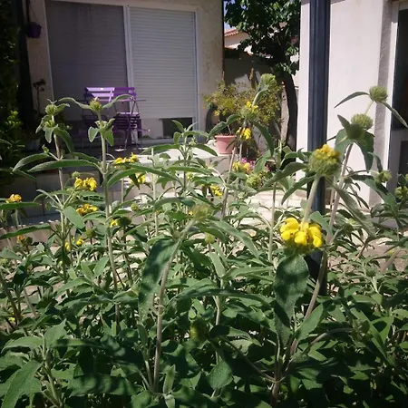 Apartamento Entre Terre Et Avec Piscine Montady